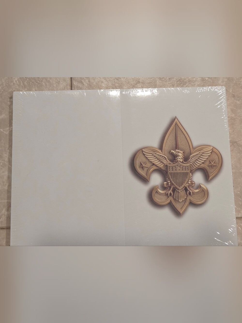 Official BSA Gold Fleur-de-lis Eagle Stationery